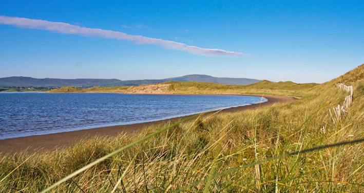 Culleenamore - Go Strandhill