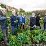 Go Strandhill - Moy Hill Community Garden